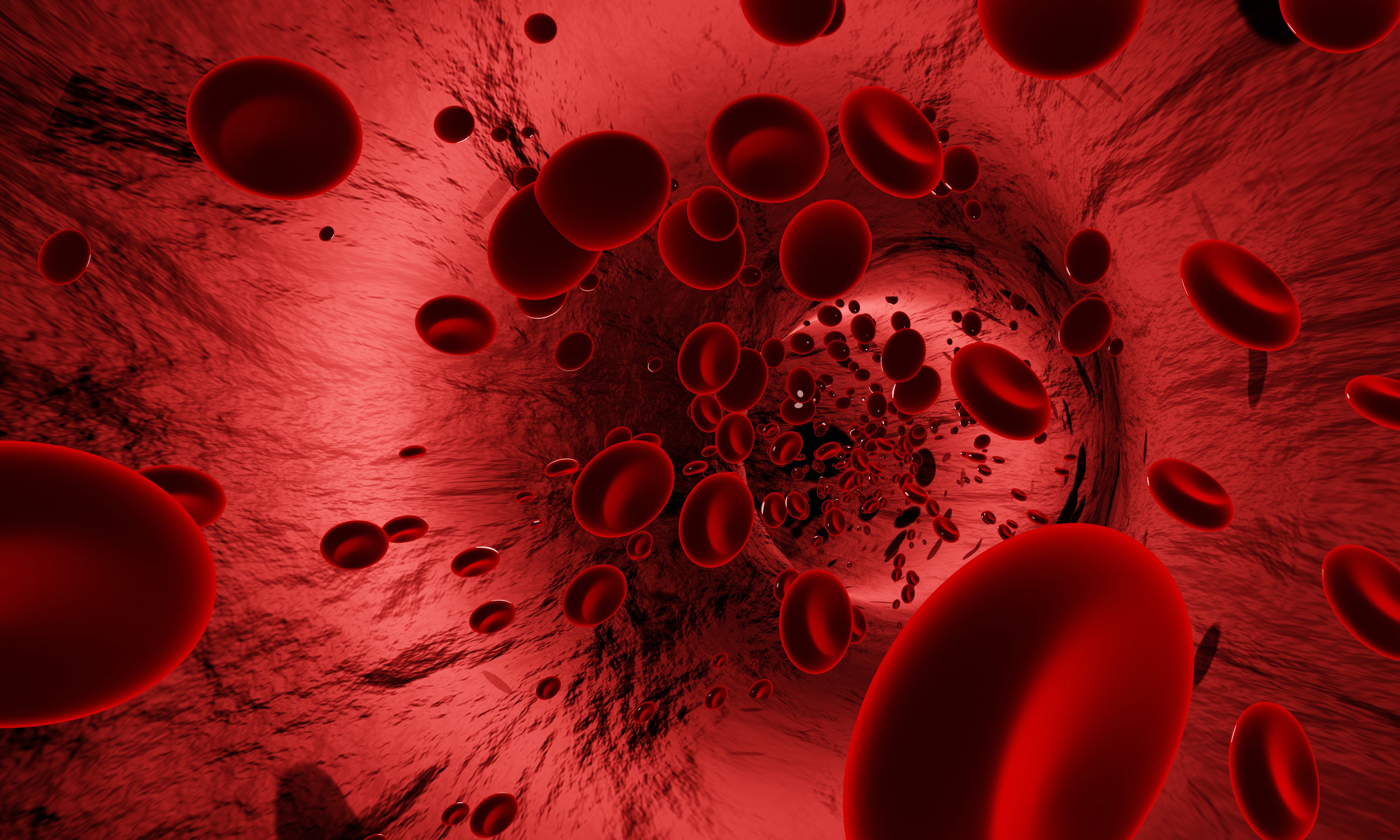 Red blood cells flowing through blood vessel